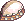 Item 17504