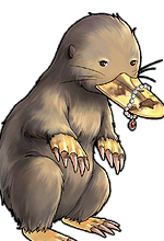 Golden Mole